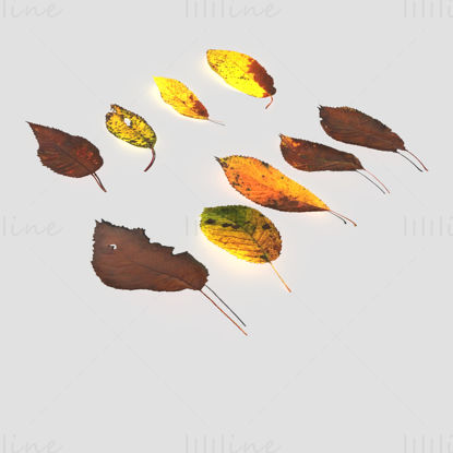 Sada 3D modelů suchých třešňových listů