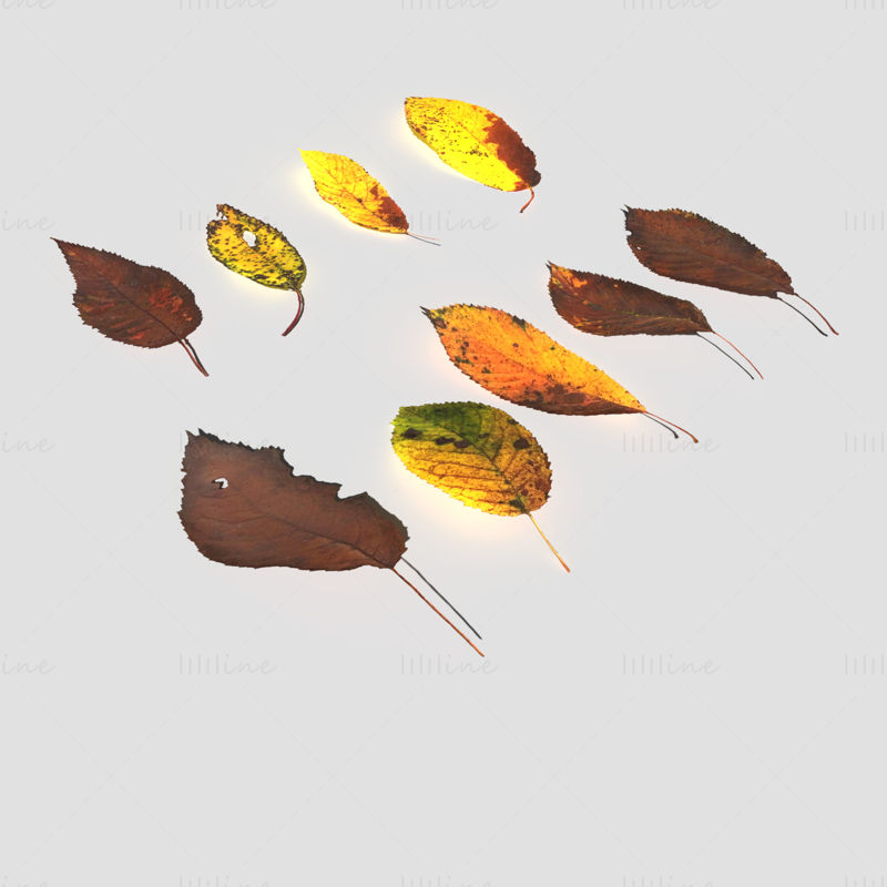Pack de modèles 3D de feuilles de cerisier sèches