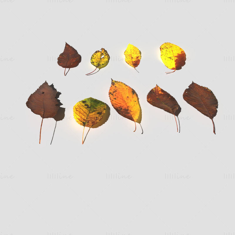 Пакет 3D-моделей сухих вишневых листьев