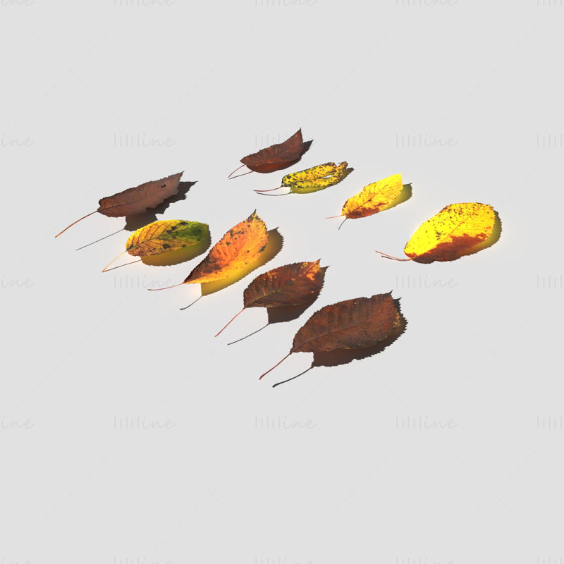 Dry Cherry Leaves 3D Model Pack