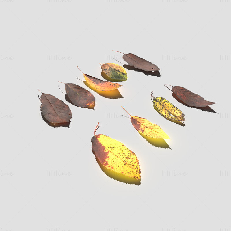 Dry Cherry Leaves 3D Model Pack
