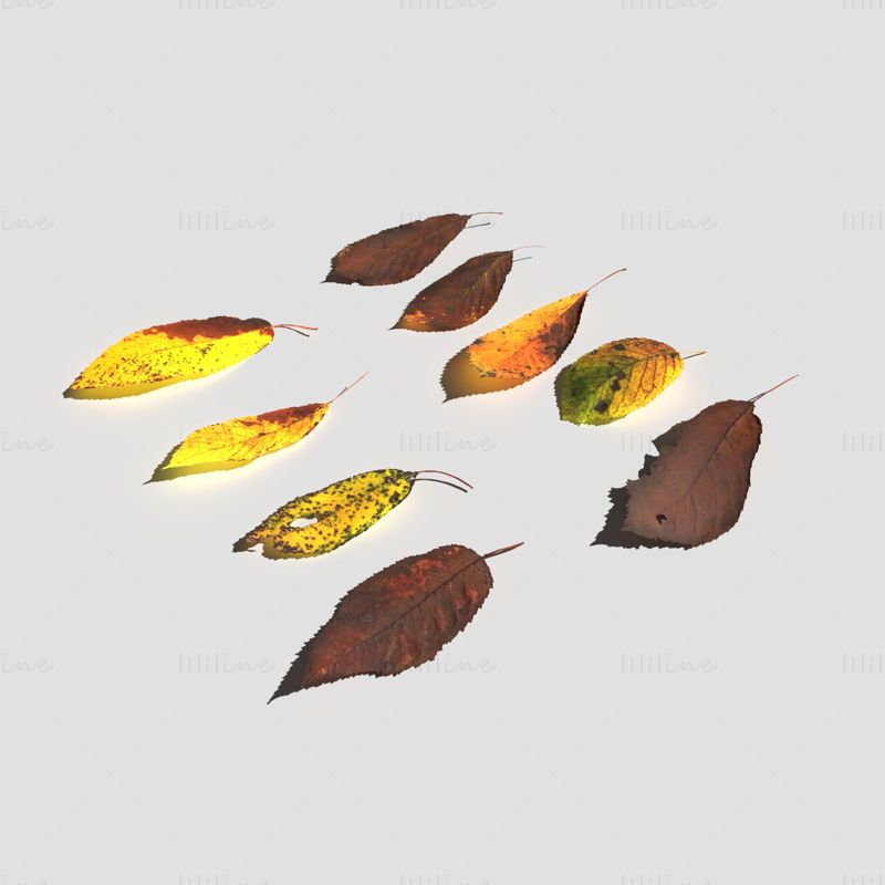 Pack de modèles 3D de feuilles de cerisier sèches