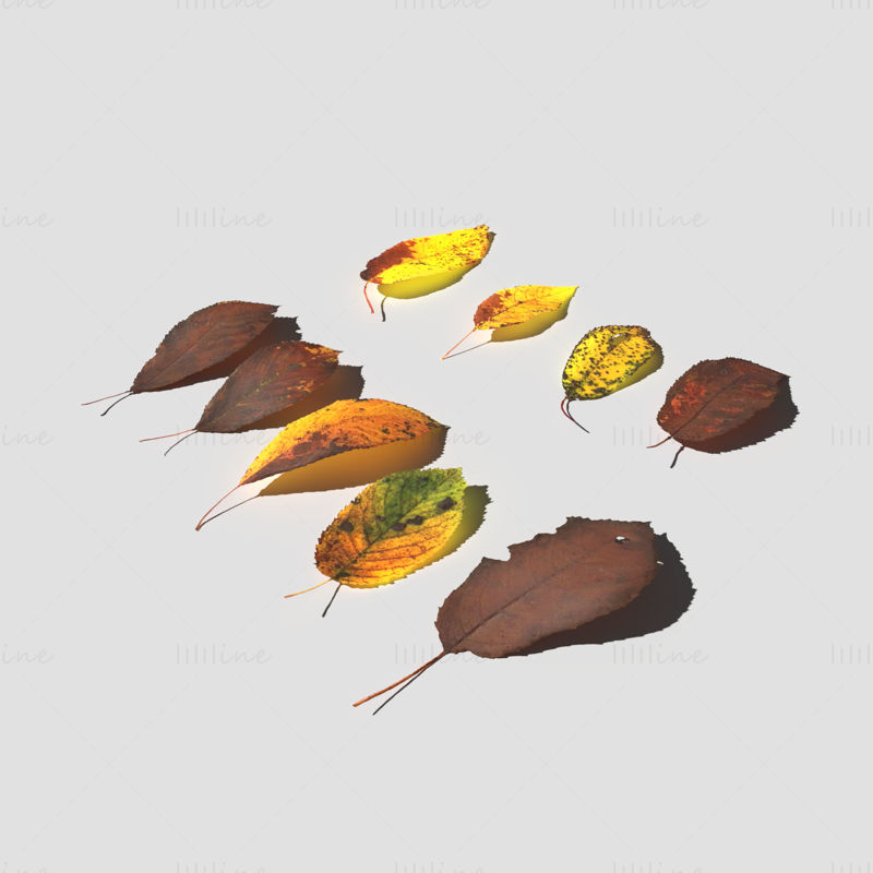 Пакет 3Д модела сувих листова трешње