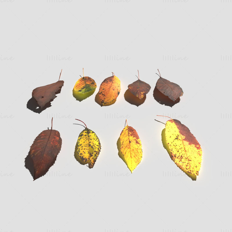 Pacchetto modello 3D di foglie di ciliegio secche