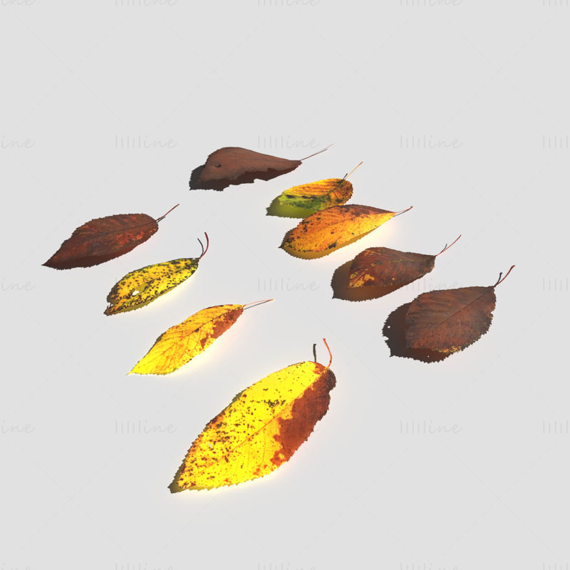 Пакет 3D-моделей сухих вишневых листьев