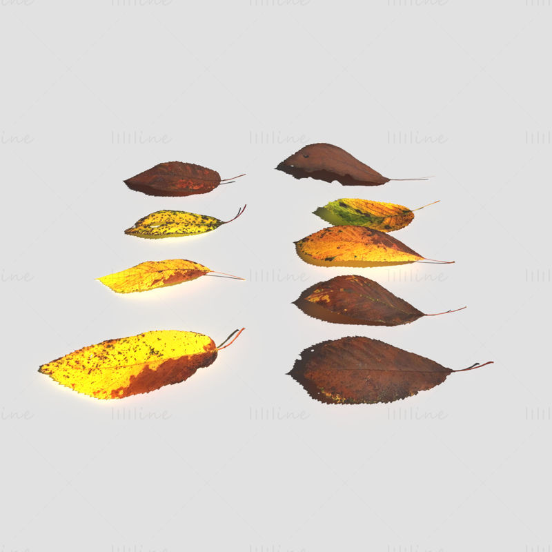 Dry Cherry Leaves 3D-modellpakke