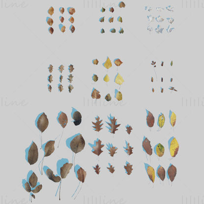 Dry Leaves 3D Model Pack