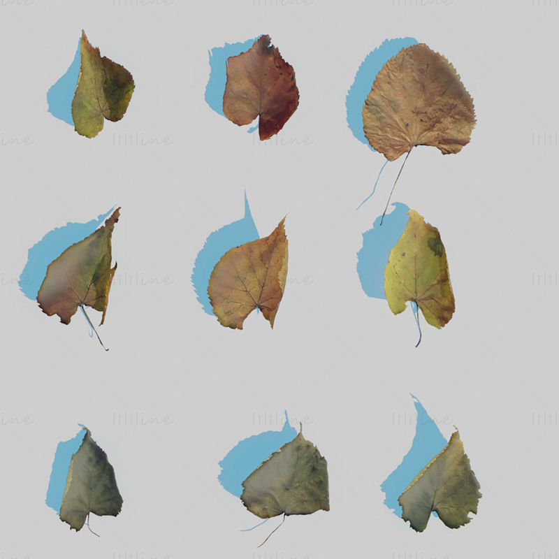 Trockene Blätter 3D-Modellpaket