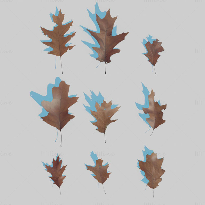 پک مدل سه بعدی Dry Leaves
