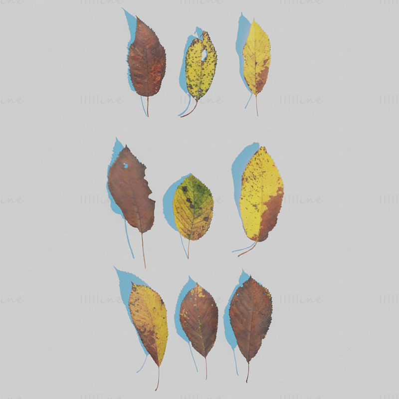 Paquete de modelo 3D de hojas secas