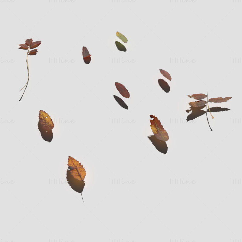 Paquete de modelo 3D de hojas secas de ceniza de montaña