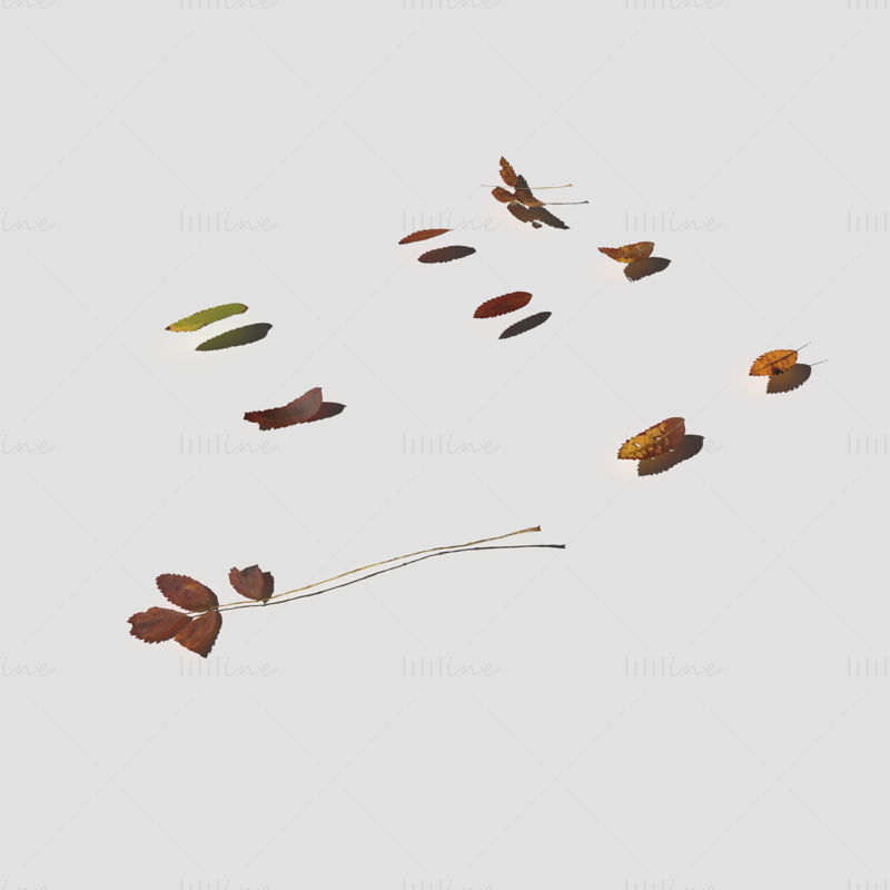 Paquete de modelo 3D de hojas secas de ceniza de montaña