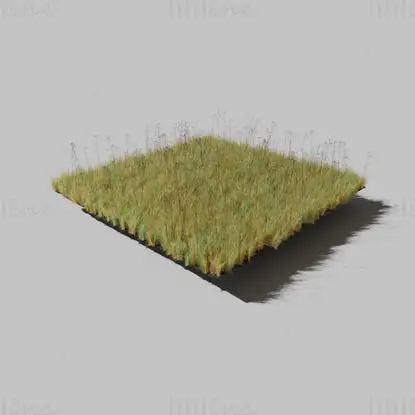 干的圣约翰草贯叶连翘草甸草皮 3D模型和免费礼物