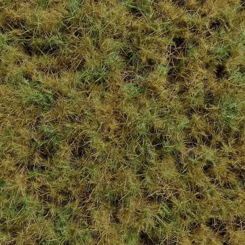 Parche seco de pradera de hierba de San Juan Modelo 3D y regalo gratis