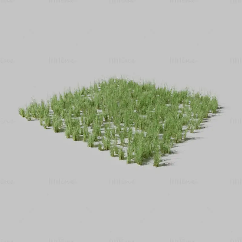 Dry St Johns Wort Meadow Patch 3D Model and Free Gift