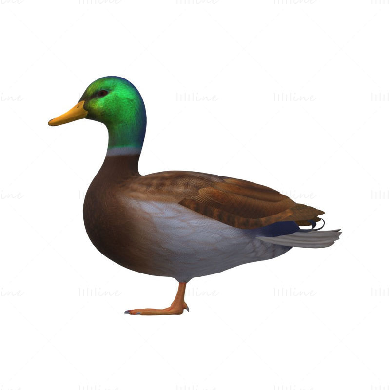 Duck Animal 3D Model Ready to Print