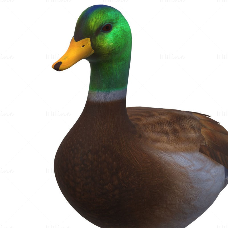 Duck Animal 3D Model Ready to Print
