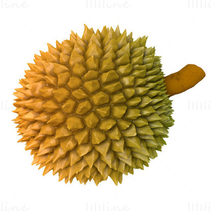 3D model Durian