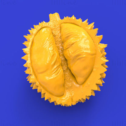 Durian 3d print model