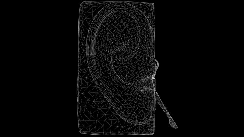 耳の構造解剖セクション 3Dモデル