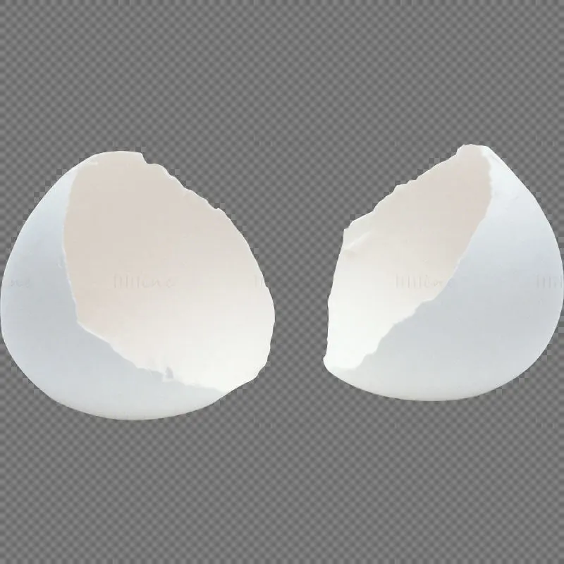 Eggshell PNG