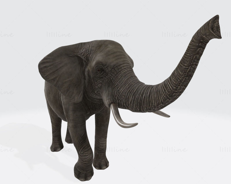 Elephant Animal 3D Printing Model