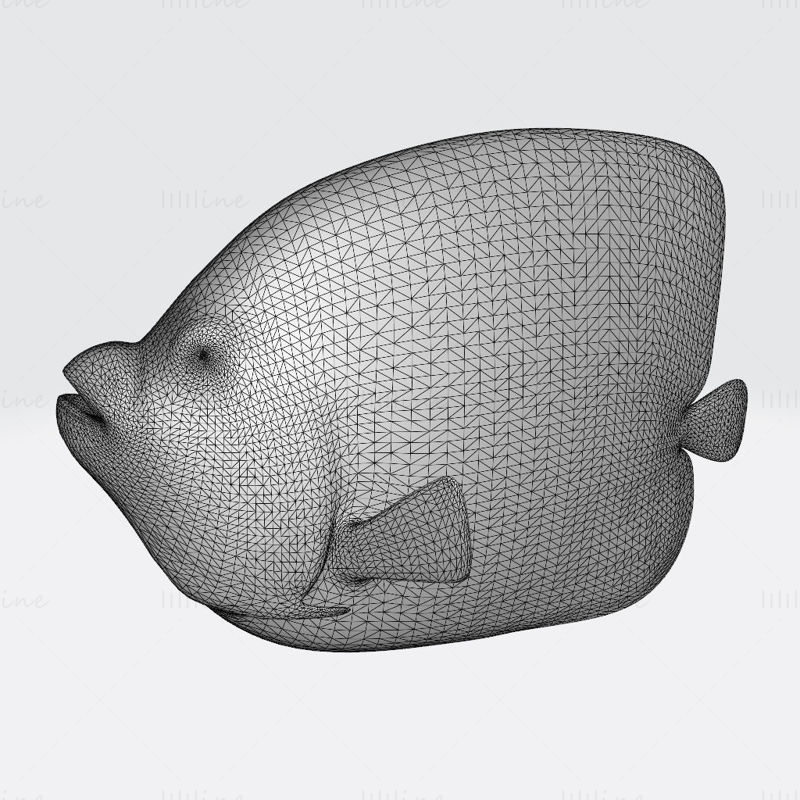 Emperor angelfish 3d printing model stl fbx obj