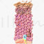 Epidermis Structure Cross Section 3D Model