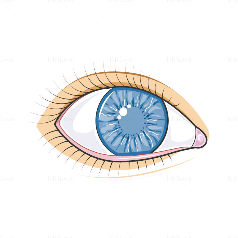 Ilustración de vector de ojo