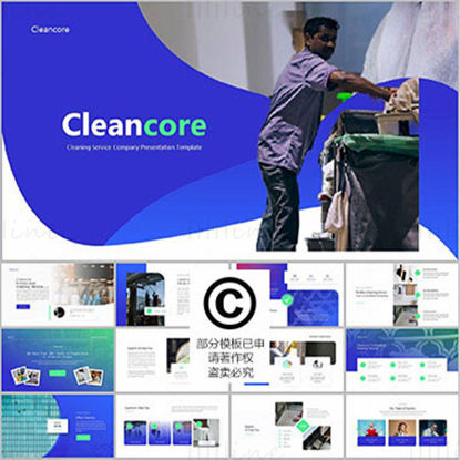 Fashion Cleaning Service Company Presentation PowerPoint Template
