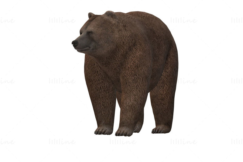 Fat Brown Bear 3D Model Ready to Print