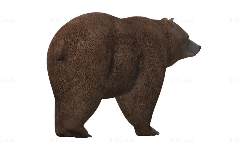 Fat Brown Bear 3D Model Ready to Print