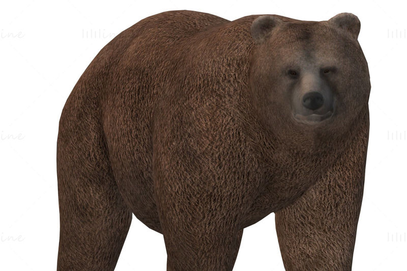 Modelo 3D de Urso Marrom Gordo Pronto para Imprimir