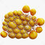 Fat Cell Anatomy 3D Model