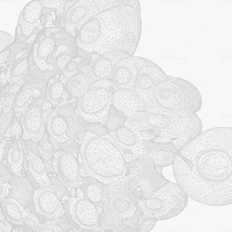 3D модел на анатомия на мастните клетки