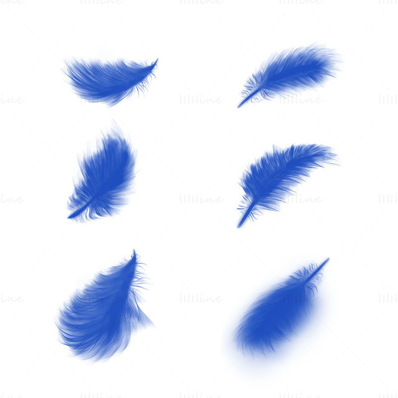 Feather png and psd