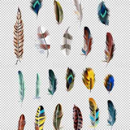 Plumes png