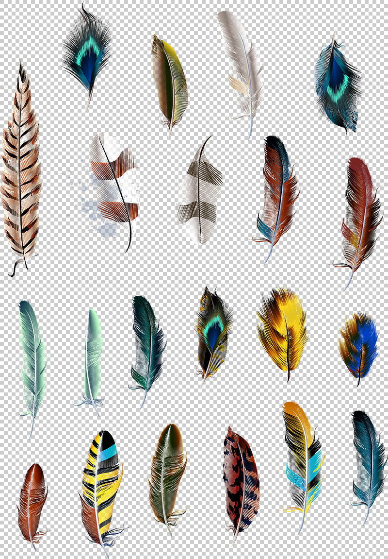 Plumes png