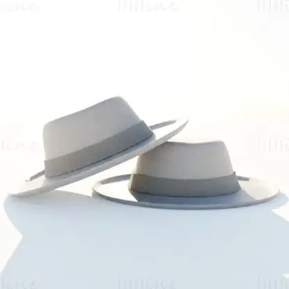 Fedora Hat 3D modell