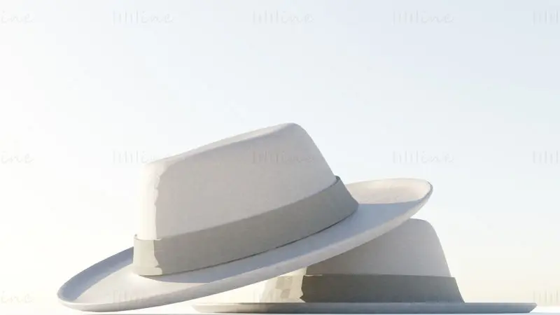 Fedora Hat 3D Model