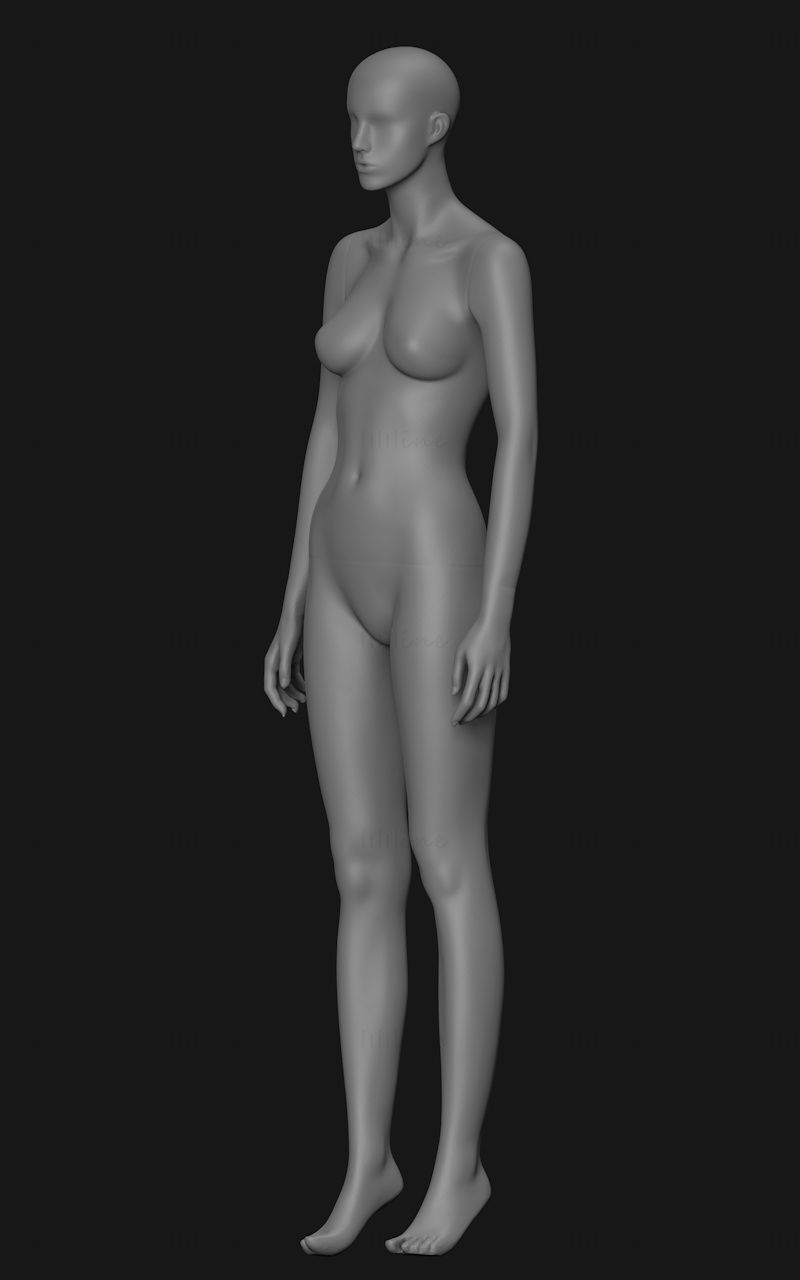 Female mannequin 3d printing model