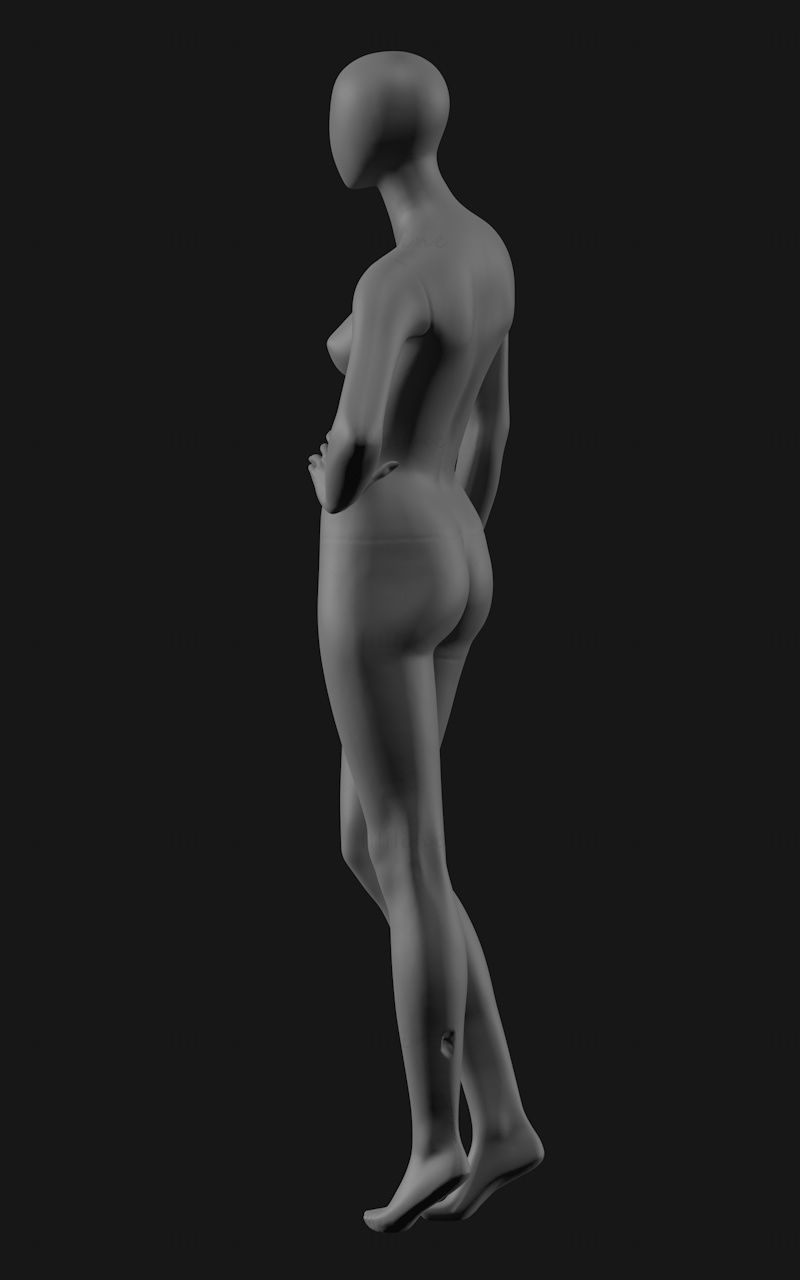أنثى المعرضة شوكة على الخصر نموذج الطباعة 3D