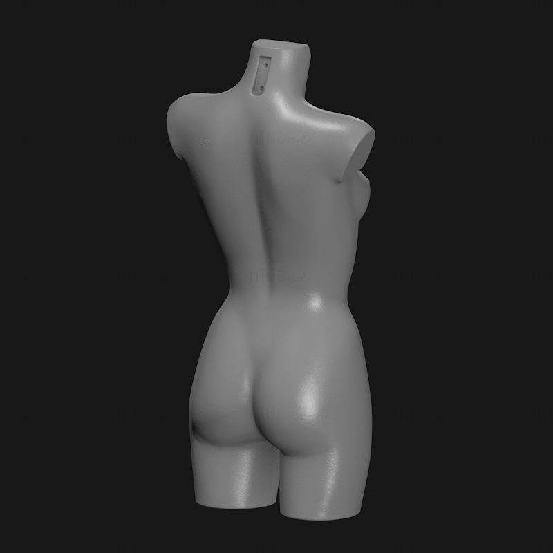Female mannequins torso 3d model