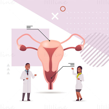 Female Reproductive System research vector illustration