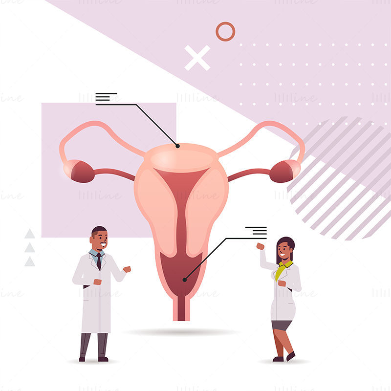 Kvinnelig reproduktive system forskning vektor illustrasjon