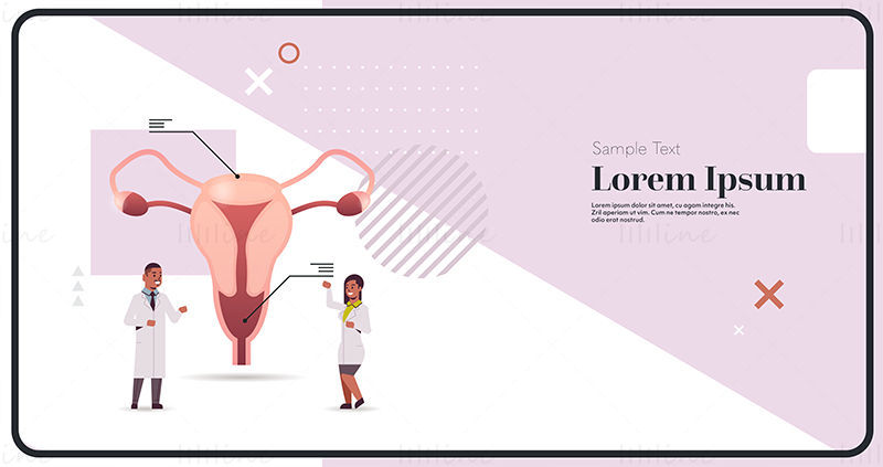 Kvinnelig reproduktive system forskning vektor illustrasjon