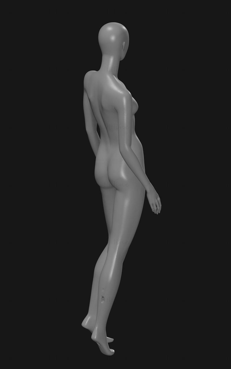 feminin în picioare modelul de manechine 3d