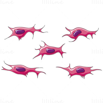 Vektorska znanstvena ilustracija fibroblastov