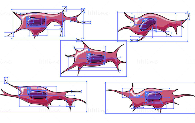 Ilustrație științifică vectorială de fibroblaste