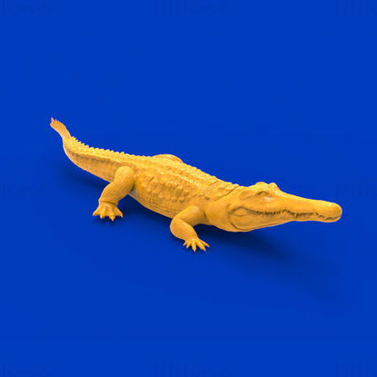 Fierce crocodile 3d print model